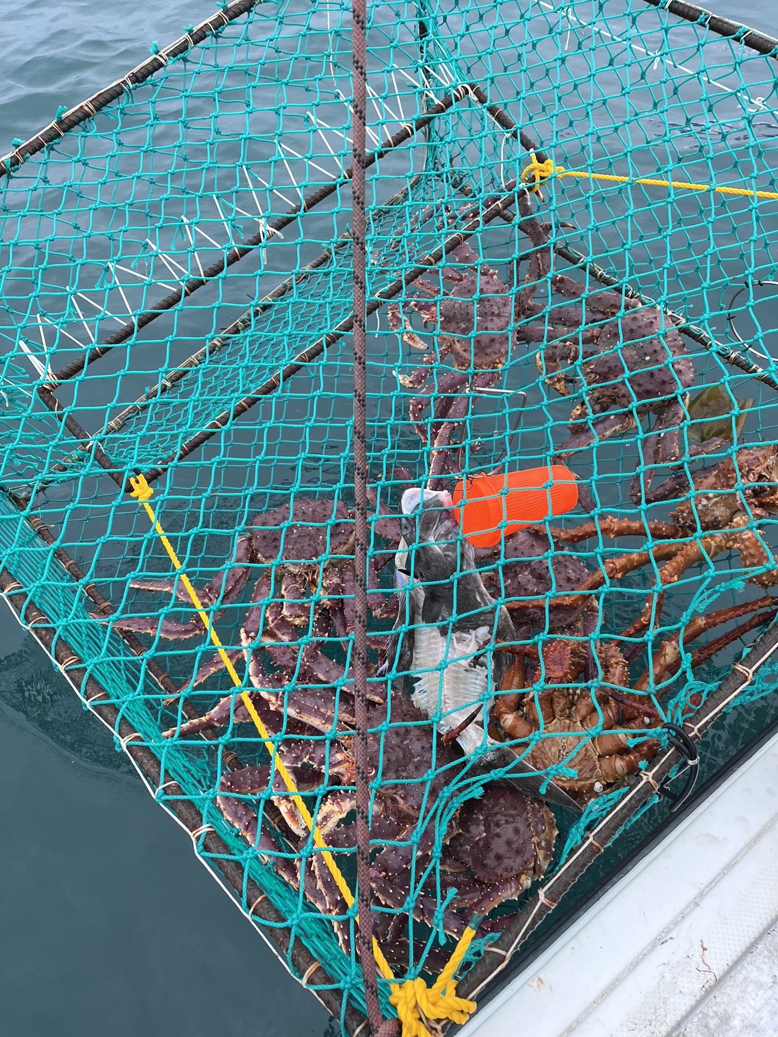 Crabbing in Southeast Alaska